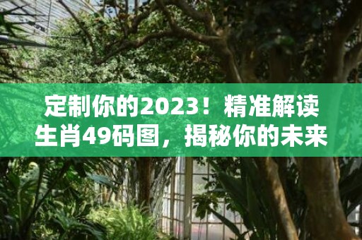 定制你的2023！精准解读生肖49码图，揭秘你的未来！