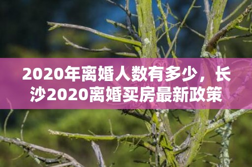 2020年离婚人数有多少，长沙2020离婚买房最新政策解读