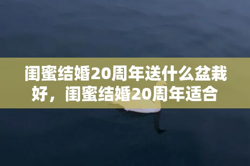 闺蜜结婚20周年送什么盆栽好，闺蜜结婚20周年适合送什么礼物