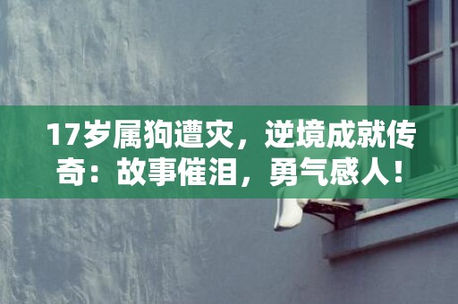 17岁属狗遭灾，逆境成就传奇：故事催泪，勇气感人！