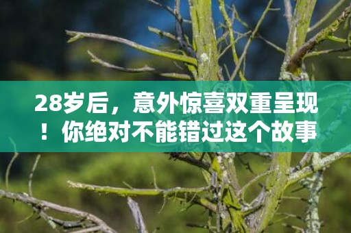 28岁后，意外惊喜双重呈现！你绝对不能错过这个故事！