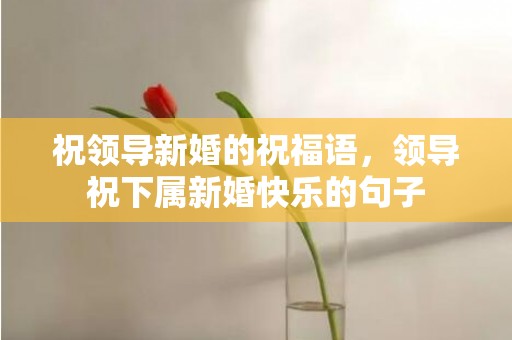 祝领导新婚的祝福语，领导祝下属新婚快乐的句子