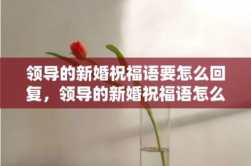 领导的新婚祝福语要怎么回复，领导的新婚祝福语怎么回复