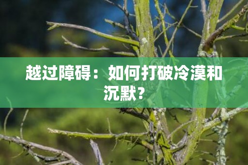 越过障碍：如何打破冷漠和沉默？