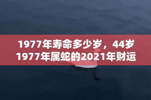 1977年寿命多少岁，44岁1977年属蛇的2021年财运怎么样