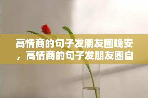 高情商的句子发朋友圈晚安，高情商的句子发朋友圈自拍文案搞笑短句