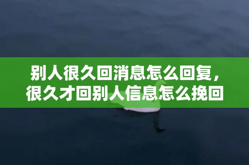 别人很久回消息怎么回复，很久才回别人信息怎么挽回（很久才回信息怎么幽默）