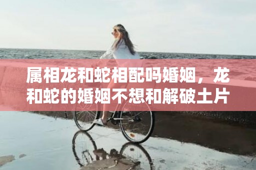 属相龙和蛇相配吗婚姻，龙和蛇的婚姻不想和解破土片