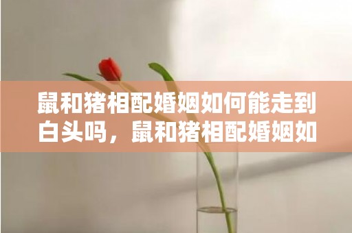 鼠和猪相配婚姻如何能走到白头吗，鼠和猪相配婚姻如何运气最好