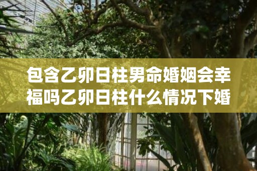 包含乙卯日柱男命婚姻会幸福吗乙卯日柱什么情况下婚姻幸福_卦...的词条