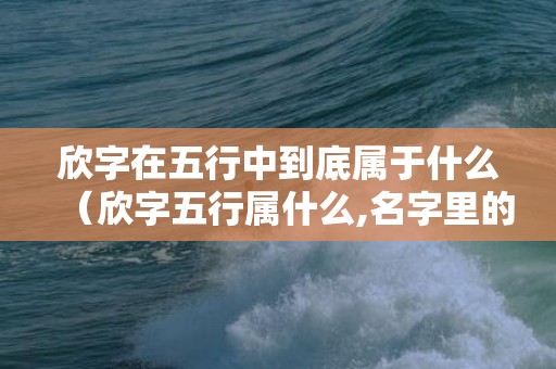 欣字在五行中到底属于什么（欣字五行属什么,名字里的寓意欣字取名五行属什么）