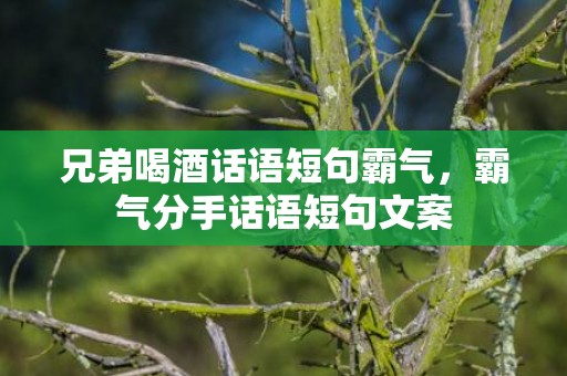 兄弟喝酒话语短句霸气，霸气分手话语短句文案