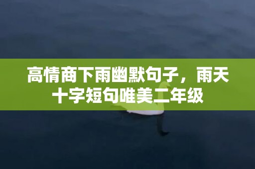 高情商下雨幽默句子，雨天十字短句唯美二年级