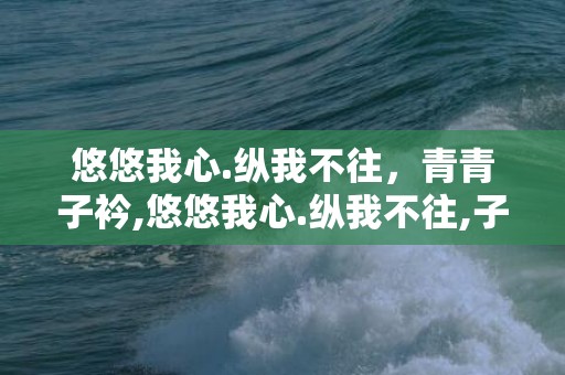 悠悠我心.纵我不往，青青子衿,悠悠我心.纵我不往,子宁不嗣音是谁写的