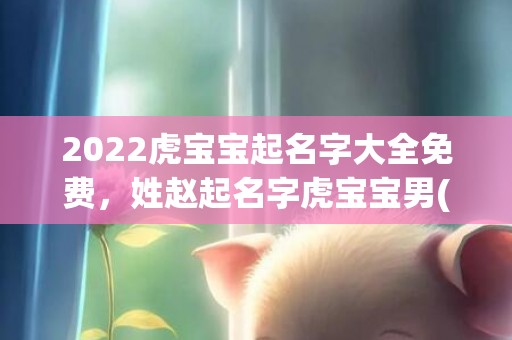 2022虎宝宝起名字大全免费，姓赵起名字虎宝宝男(宝宝姓赵取名大全男孩)