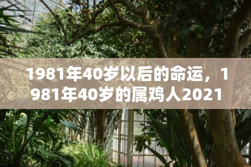 1981年40岁以后的命运，1981年40岁的属鸡人2021年恋爱运势好吗