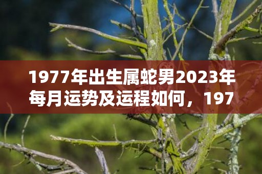 1977年出生属蛇男2023年每月运势及运程如何，1977年出生属蛇的2021年桃花多不多 健康运势分析