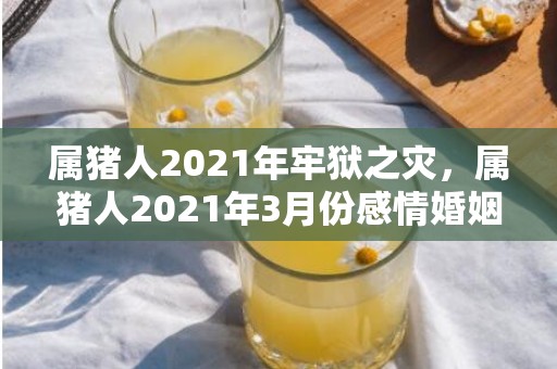 属猪人2021年牢狱之灾，属猪人2021年3月份感情婚姻运 财运事业运分析