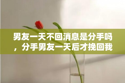 男友一天不回消息是分手吗，分手男友一天后才挽回我（男生提分手一天后又求复合）