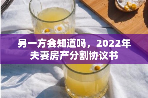 另一方会知道吗，2022年夫妻房产分割协议书