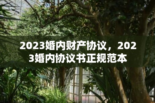 2023婚内财产协议，2023婚内协议书正规范本