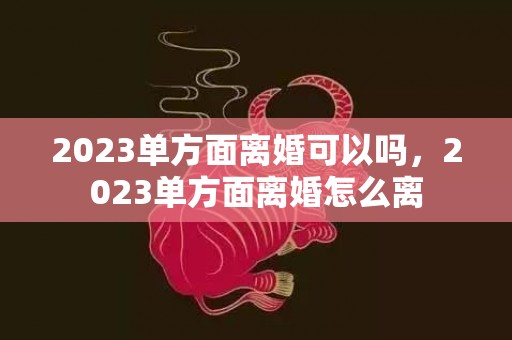 2023单方面离婚可以吗，2023单方面离婚怎么离