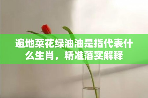 遍地菜花绿油油是指代表什么生肖，精准落实解释