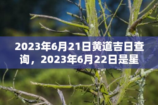 2023年6月21日黄道吉日查询，2023年6月22日是星期几