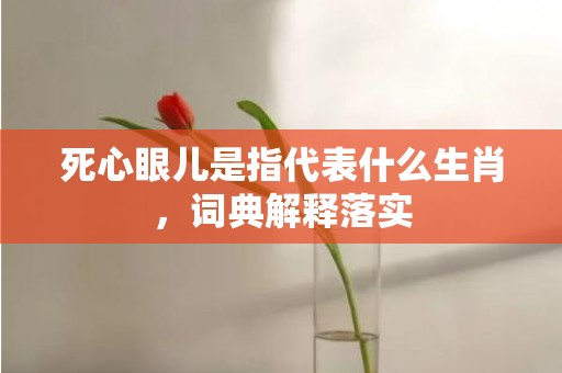 死心眼儿是指代表什么生肖，词典解释落实