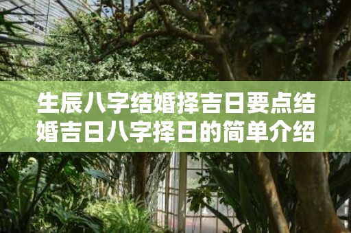 生辰八字结婚择吉日要点结婚吉日八字择日的简单介绍