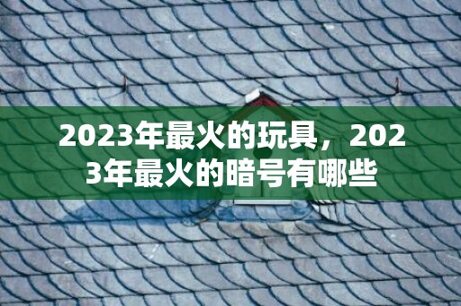 2023年最火的玩具，2023年最火的暗号有哪些