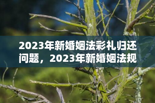 2023年新婚姻法彩礼归还问题，2023年新婚姻法规定是什么