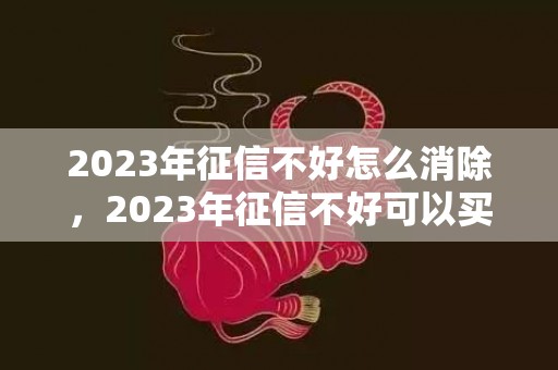 2023年征信不好怎么消除，2023年征信不好可以买房吗