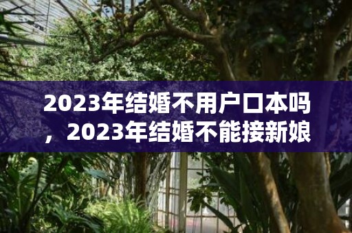 2023年结婚不用户口本吗，2023年结婚不能接新娘属相