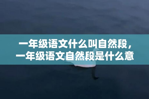 一年级语文什么叫自然段，一年级语文自然段是什么意思