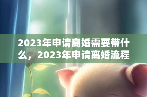 2023年申请离婚需要带什么，2023年申请离婚流程及时间