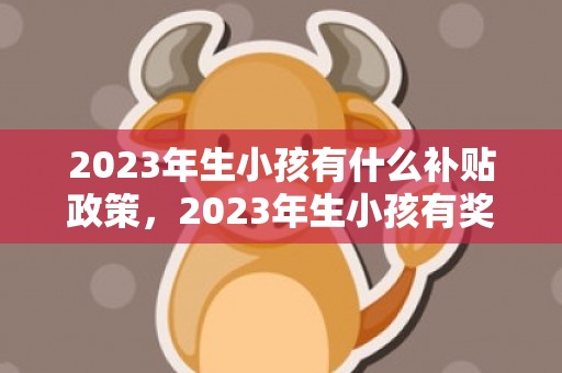 2023年生小孩有什么补贴政策，2023年生小孩有奖励政策吗