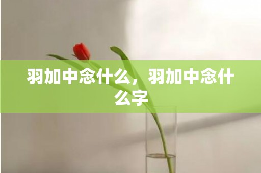 羽加中念什么，羽加中念什么字