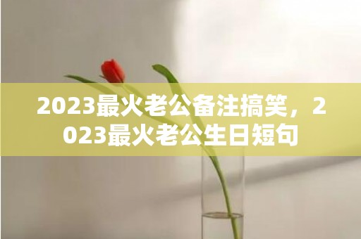 2023最火老公备注搞笑，2023最火老公生日短句