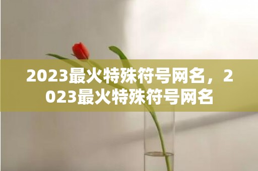 2023最火特殊符号网名，2023最火特殊符号网名