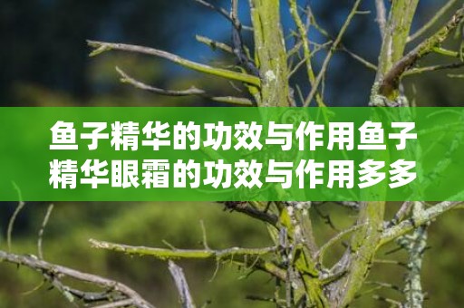 鱼子精华的功效与作用鱼子精华眼霜的功效与作用多多分