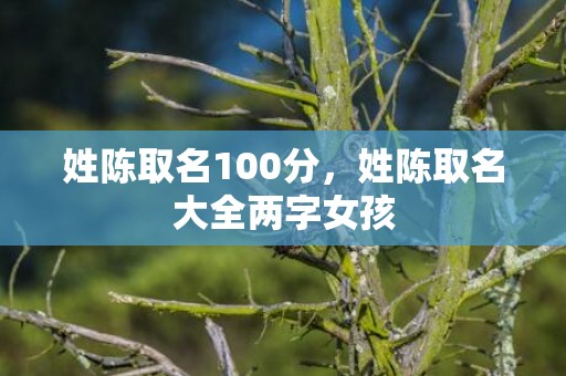 姓陈取名100分，姓陈取名大全两字女孩