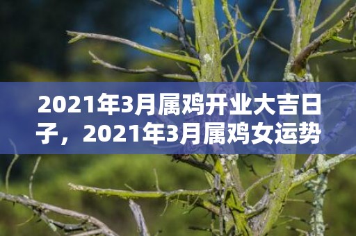 2021年3月属鸡开业大吉日子，2021年3月属鸡女运势会有起伏吗 事业运势如何