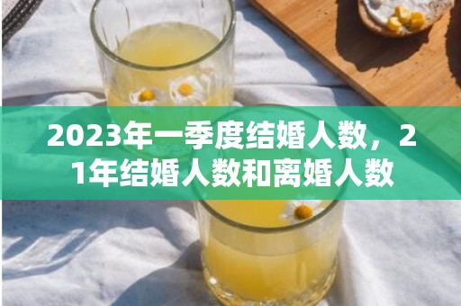 2023年一季度结婚人数，21年结婚人数和离婚人数