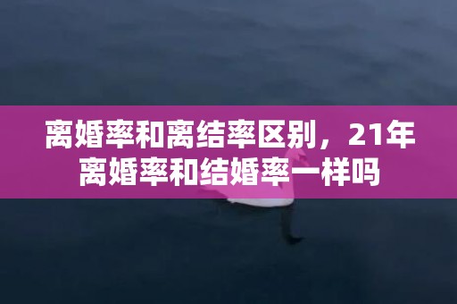 离婚率和离结率区别，21年离婚率和结婚率一样吗