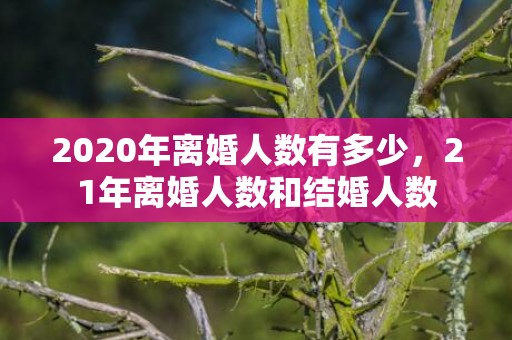 2020年离婚人数有多少，21年离婚人数和结婚人数