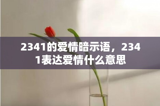 2341的爱情暗示语，2341表达爱情什么意思