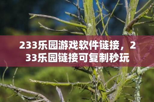 233乐园游戏软件链接，233乐园链接可复制秒玩