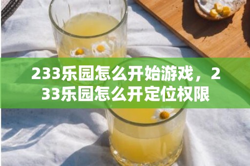 233乐园怎么开始游戏，233乐园怎么开定位权限