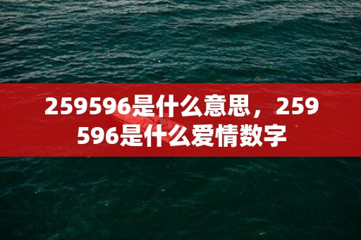 259596是什么意思，259596是什么爱情数字